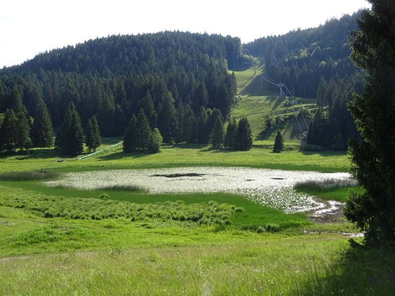 Laghi.......del TRENTINO